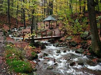 Trail On foot Spa - SPA 07 - Promenade des Artistes (blue rectangle) - Photo