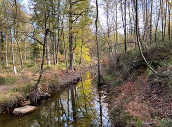 Trail Walking Raeren - Raeren  Roetgen Eifelsteig 23 km - Photo