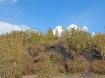 Trail Walking Farciennes - bois des corbeaux lambusart - Photo