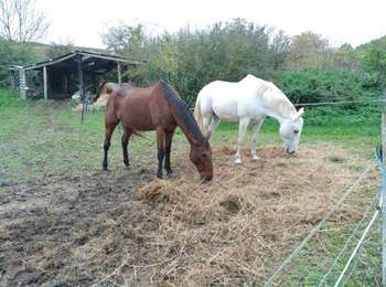 Trail Walking Jussy - Jussy -21-10-2022 - Photo