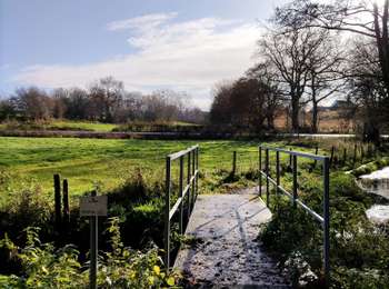 Trail Walking Aubel - Balade de la Bel   - Photo