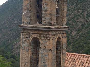 Trail Walking Asco - Ascot  - Photo