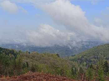 Trail Walking Fresse - GTME Jour 4 - Photo