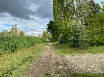 Trail Walking Chastre - Gentinnes 25 km - Photo