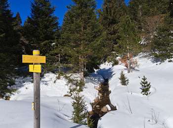 Tocht Sneeuwschoenen Pont de Montvert - Sud Mont Lozère - Pic Cassini  - Photo