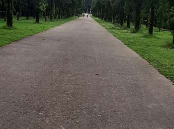 Trail Walking Seneffe - Seneffe 190624 - Photo