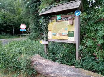 Trail Nordic walking Péruwelz - mielikki Bonsecours  - Photo