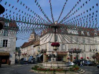 Trail On foot Arbois - Entre Bois et Vignes - Photo