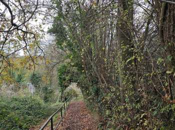 Trail Walking Wanze - A la découverte de Huccorgne avec Koda 🥾🐕 - Photo