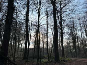 Tocht Noords wandelen Habscht - Grillplaz - Photo