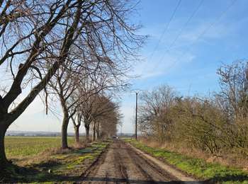 Trail Walking Les Bons Villers - Mellet - Saint-Amand - Photo