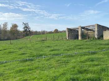 Trail Coupling Gerpinnes - Campagne Les Bruyères GR 129 Tournibus - Photo