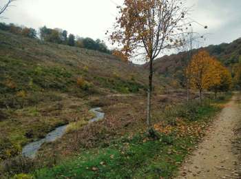 Percorso Mountainbike Virton - La chaussée romaine entre Etalle et Sampont  -  Balade_VTT_53kms - Photo
