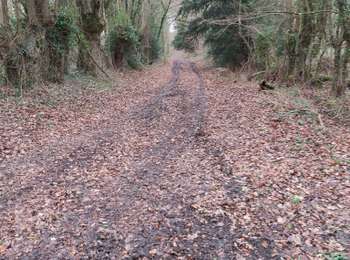 Tocht Stappen Livarot-Pays-d'Auge - Fervaques  - Photo