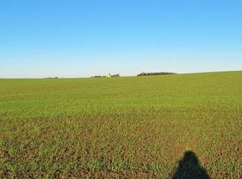 Trail Walking Ans - Ans Hombroux - Photo