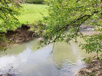 Excursión Senderismo Doische - Promenade de la Bonne-Fontaine   - Photo