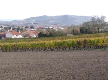 Percorso Marcia Lempdes - lempdes - Photo