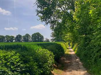 Tocht Stappen Villers-la-Ville - Balade à Sart-Dames-Avelines - Photo
