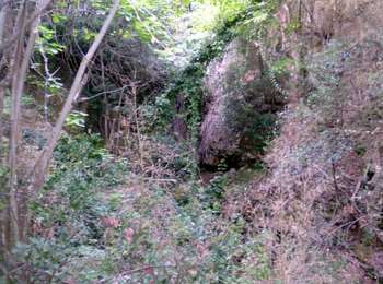 Tour Wandern Davejean - DAVEJEAN - Les petits chemins de Davejean - Photo