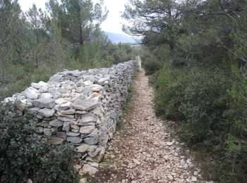 Percorso Marcia Lagnes - PF-Lagnes-Mur de la peste - Reco - Photo