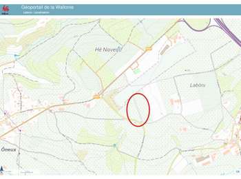 Trail Walking Theux - 20241202 - Laboru 7.4 Km - Photo