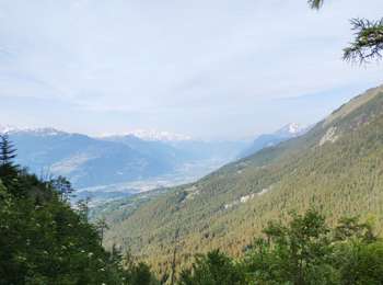 Tour Wandern Ayent - bistailla - Photo