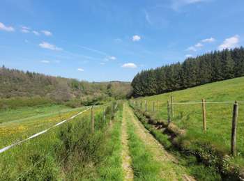 Tour Wandern Feitweiler - rando honville 18-05-2023 - Photo