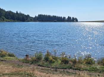 Percorso Marcia Orcival -  Lac de Servières,5.3km,206m - Photo