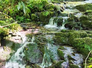 Tocht Stappen Dinant - Cascatelles au fil de nos découvertes - Photo