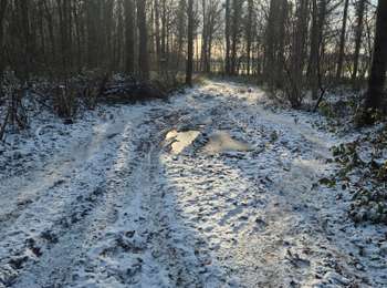 Tour Wandern Fernelmont - Adeps Noville-les-bois - Photo