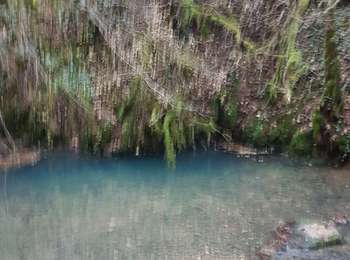 Trail Walking Marigna-sur-Valouse - Marigna-Quinquenouille - Photo