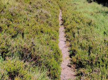 Tour Wandern Moussey - Col de Prayé - La corbeille - Photo