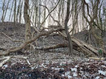 Trail Walking Dour - GR412 - Photo