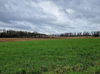 Tocht Stappen Waver - #240209 - Bierges, autour du Bois Wilmet** (version courte horlogique) - Photo
