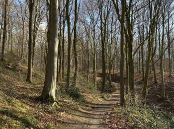 Tocht Stappen Jemeppe-sur-Sambre - Spy - Photo