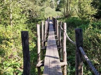 Percorso Marcia Geraardsbergen - Promenade sur des rondins de bois à Idegem - Photo