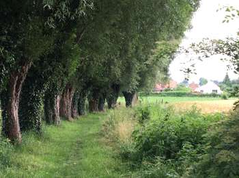 Trail Walking Silly - Silly « Vers St-Marcoult » - Photo