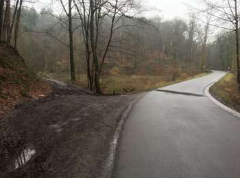 Trail On foot Nandrin - Les rochettes Bois des dames - Photo