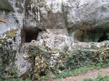 Trail Walking Poligny - Poligny_Vaux-sur-Poligny 13km 20200524 - Photo