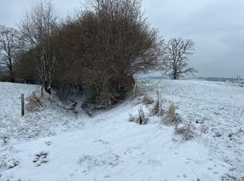 Trail Walking Ellezelles - Lahamaide 14,3 km - Photo