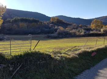 Trail Nordic walking Lauroux - Lauroux Nov 2021 - Photo