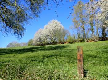 Tocht Stappen Chaumont-Gistoux - #210427 - Longueville, Hèze et Petit Hacquedeau - Photo