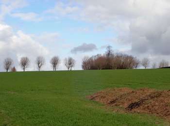 Percorso Marcia Incourt - #210315 - Glimes, Ferme de la Ramée et Tumulus*** - Photo
