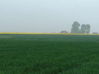 Trail Walking Soignies - Promenade Piedescaus Neufvilles 24/04/2025 - Photo