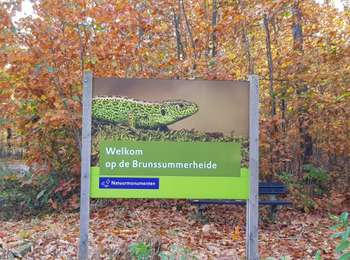 Randonnée Marche Brunssum - Brunssum_1288 - Photo