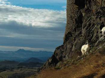 Percorso A piedi Mauzun - Le Chateau de Mauzun - Photo