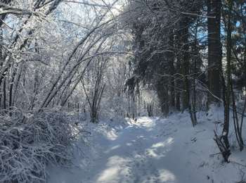 Percorso Marcia Amel - Alentours Schoppen - Photo