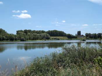 Tour Mountainbike Tours - Tours - Saint-Cyr-sur-Loire Fondettes Luynes la Loire - 37km 365m 5h05 - 2026 06 07 - Photo