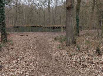 Trail Walking Fleurus - Soleilmont  seniors - Photo