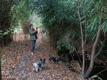 Tour Wandern Lanaken - Petersheim  - Photo